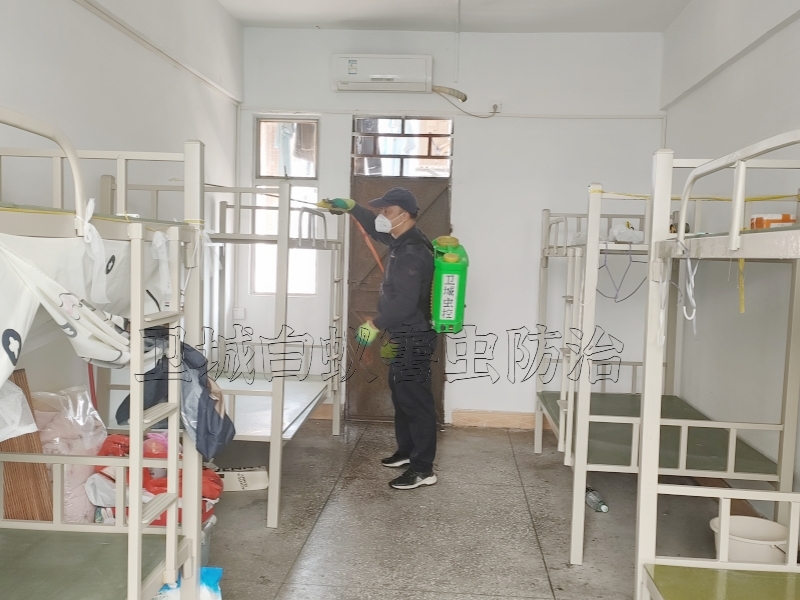 惠州惠陽臭蟲防治-惠州殺蚊蟲預防登革熱-惠州陳江河南岸橫瀝殺蟲滅鼠公司